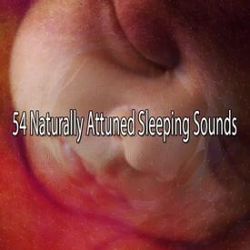 54 Naturally Attuned Sleeping Sounds