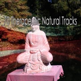 70 Therapeutic Natural Tracks