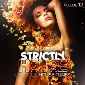 Strictly House, Vol. 12