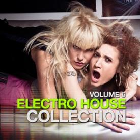 Electro House Collection, Vol. 6