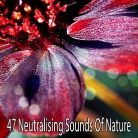 47 Neutralising Sounds Of Nature