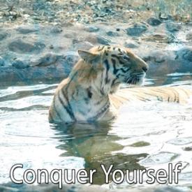 Conquer Yourself
