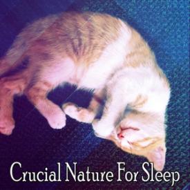 Crucial Nature For Sleep