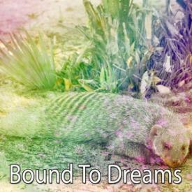 Bound To Dreams