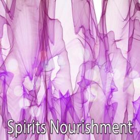Spirits Nourishment