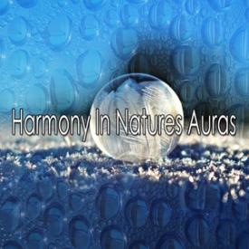 Harmony In Natures Auras