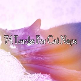 74 Tracks For Cat Naps