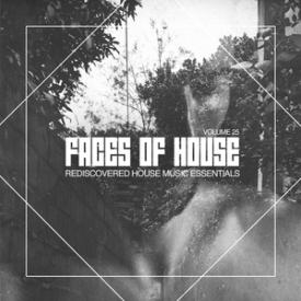 Faces of House, Vol. 25