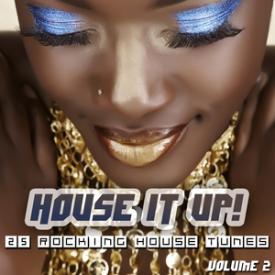 House It Up, Vol. 2