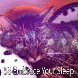 58 Embrace Your Sleep