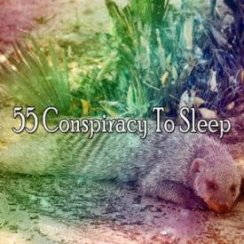 55 Conspiracy To Sleep