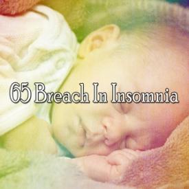 65 Breach In Insomnia