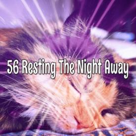 56 Resting The Night Away