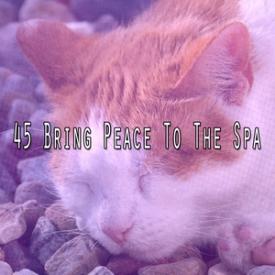 45 Bring Peace To The Spa