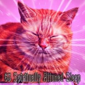 63 Spiritually Attuned Sleep