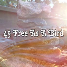 45 Free As A Bird