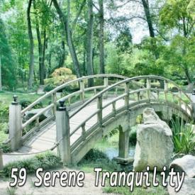 59 Serene Tranquility