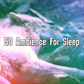 50 Ambience For Sleep