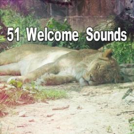 51 Welcome Sounds