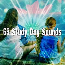 65 Study Day Sounds
