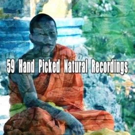 59 Hand Picked Natural Recordings