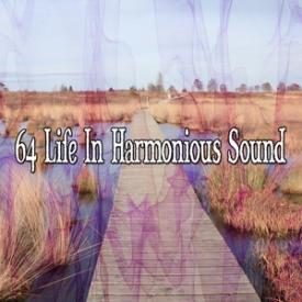 64 Life In Harmonious Sound