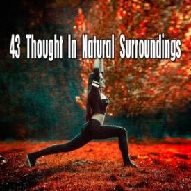 43 Thought In Natural Surroundings