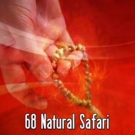 68 Natural Safari