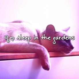 63 Sleep In The Gardens