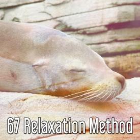 67 Relaxation Method
