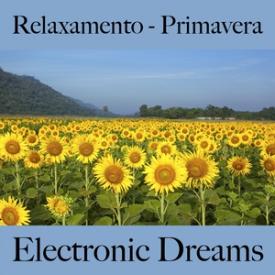 Relaxamento - Primavera: Electronic Dreams - A Melhor Música Para Relaxar