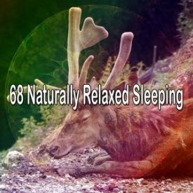 68 Naturally Relaxed Sleeping