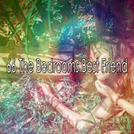66 The Bedrooms Best Friend