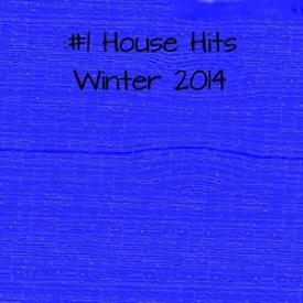 #1 House Hits Winter 2014