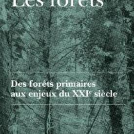 Les forêts. Des forêts primaires aux enjeux du XXIe siècle