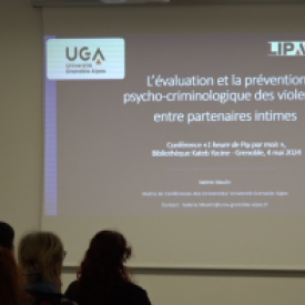 Psychologie des violences conjugales